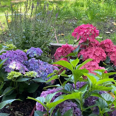 Tatil Evi Great Granny S Kappeln